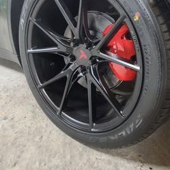 Model Y Rims Wheels
