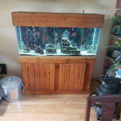 55 Gallon Fish Tank & Stand