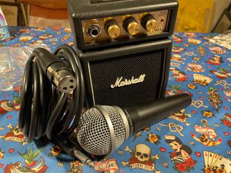 Amp, and microphone