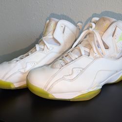 Jordan True Flight White Mens 342964-113