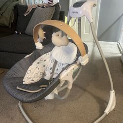 Ingenuity Baby Swing