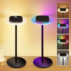 Pick Up From Mount Juliet 37122..New Cordless Table Lamps Set of 2 - Rechargeable Color Changing Portable Desk Lamps with Adjustable Height for Restau