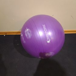 Yoga Ball Exercise Ball 