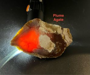 Plume Agate Rough Stone from Brazil 89.2g LAST ONE