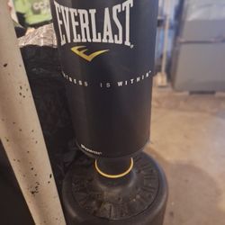 Everlast Water Filled Punching Bag