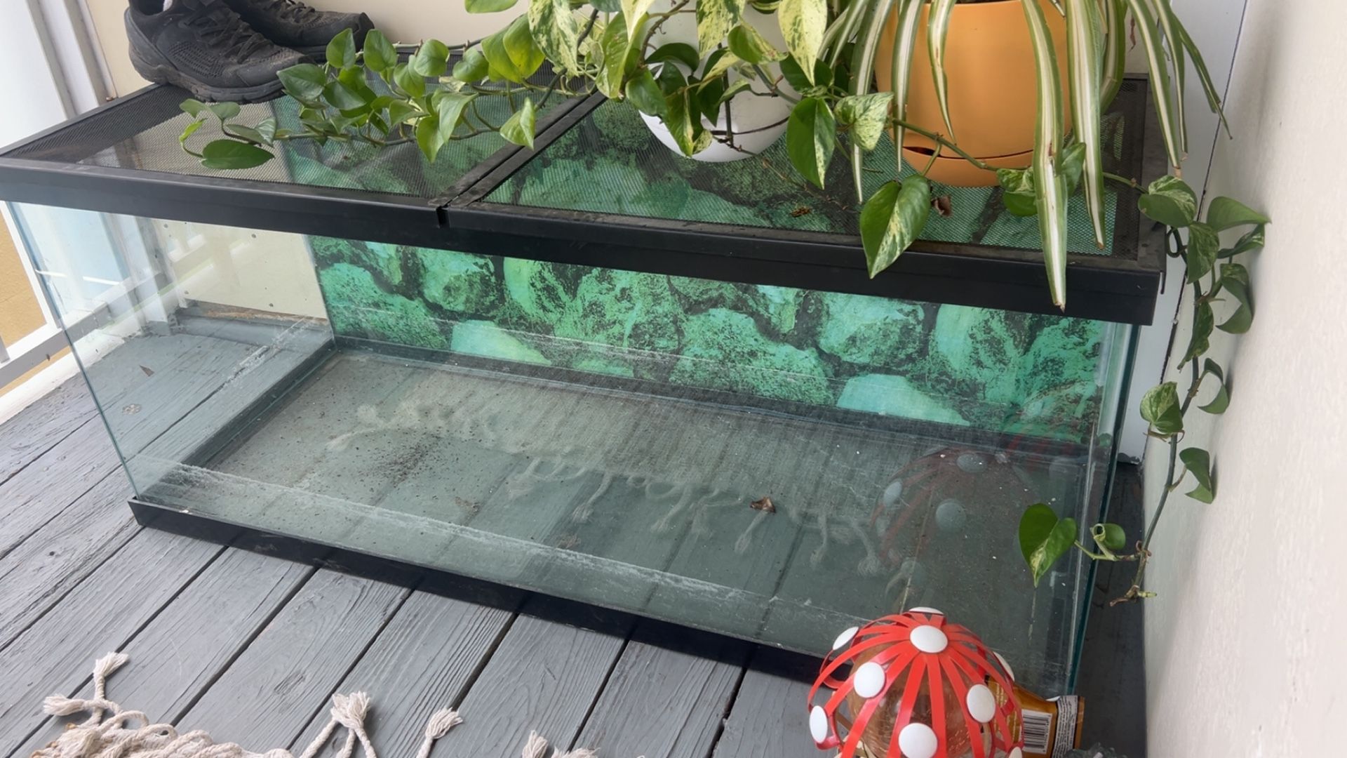 Fish Or Lizard Tank.