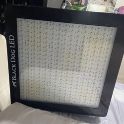 Black Dog Platinum XL-U 750W LED Grow Light - Bargain Deal! 🪴💡