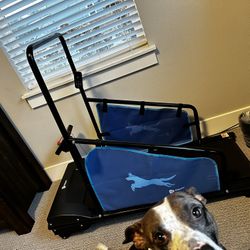 Life pro PawRunner Dog Treadmill for Small And medium dogs Up To 130lbs