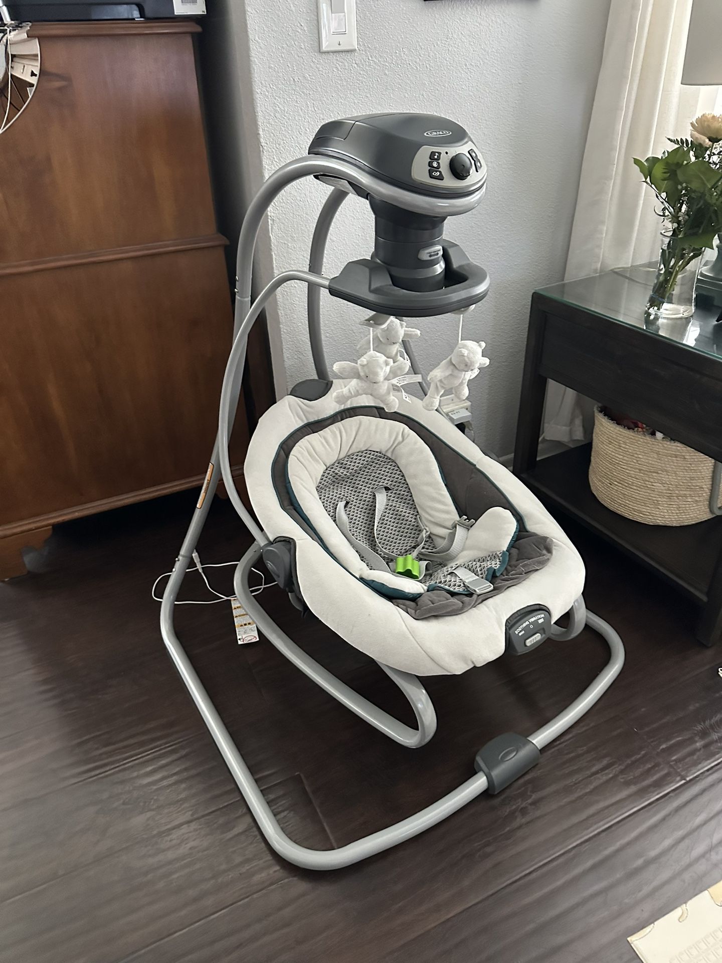 Graco Baby Swing