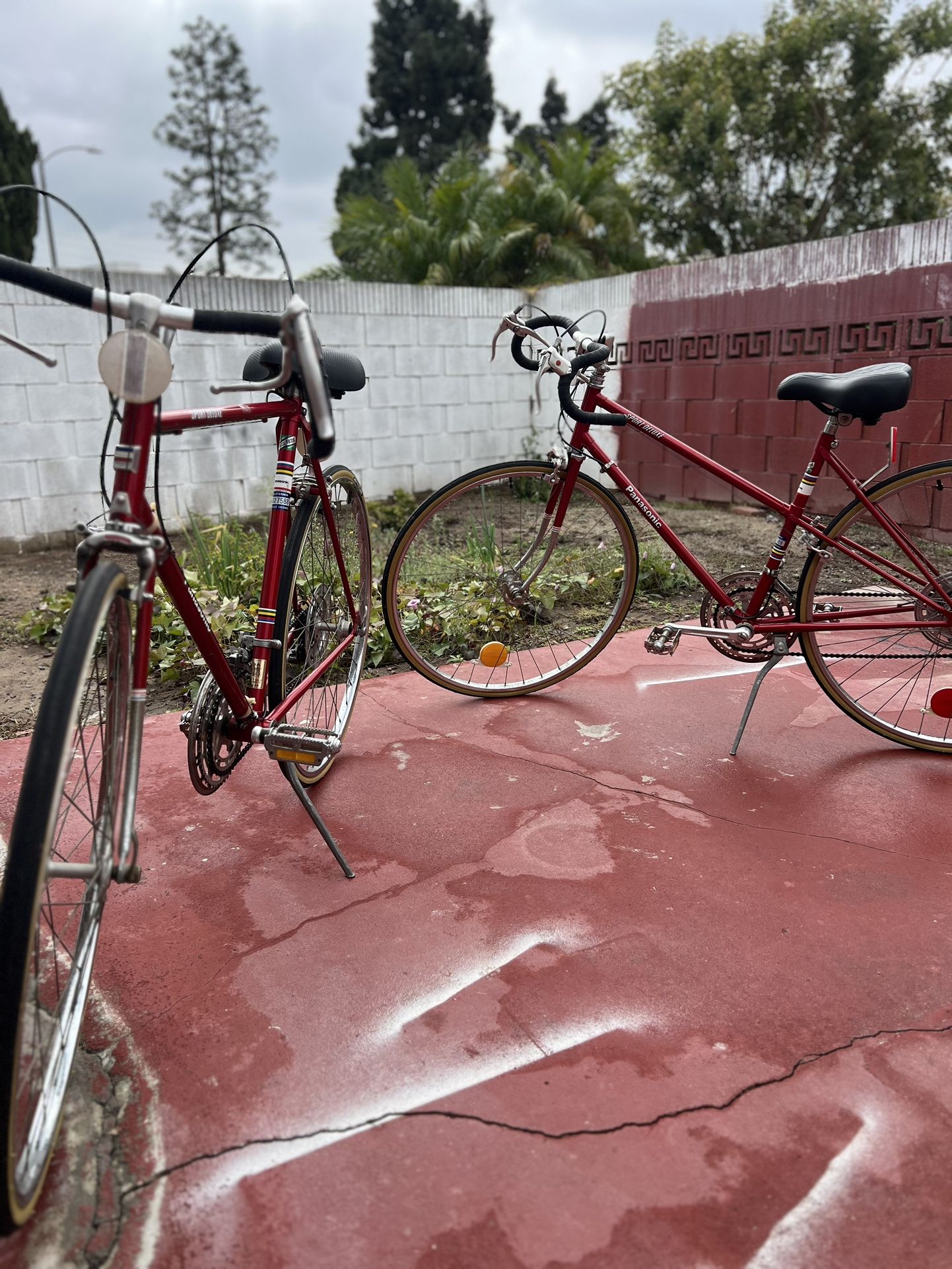BICYCLES Early 1970s Panasonic Sport Deluxe MATCHING HIS/HERS