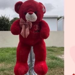 Red Teddy Bear 