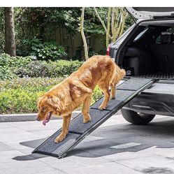 Ramp For Pets New 