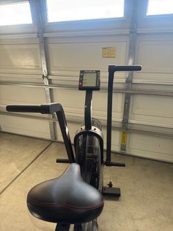 Rogue echo bike