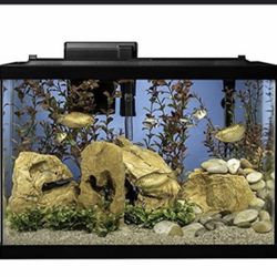 Tetra 20 Gallon Fish tank Brand New