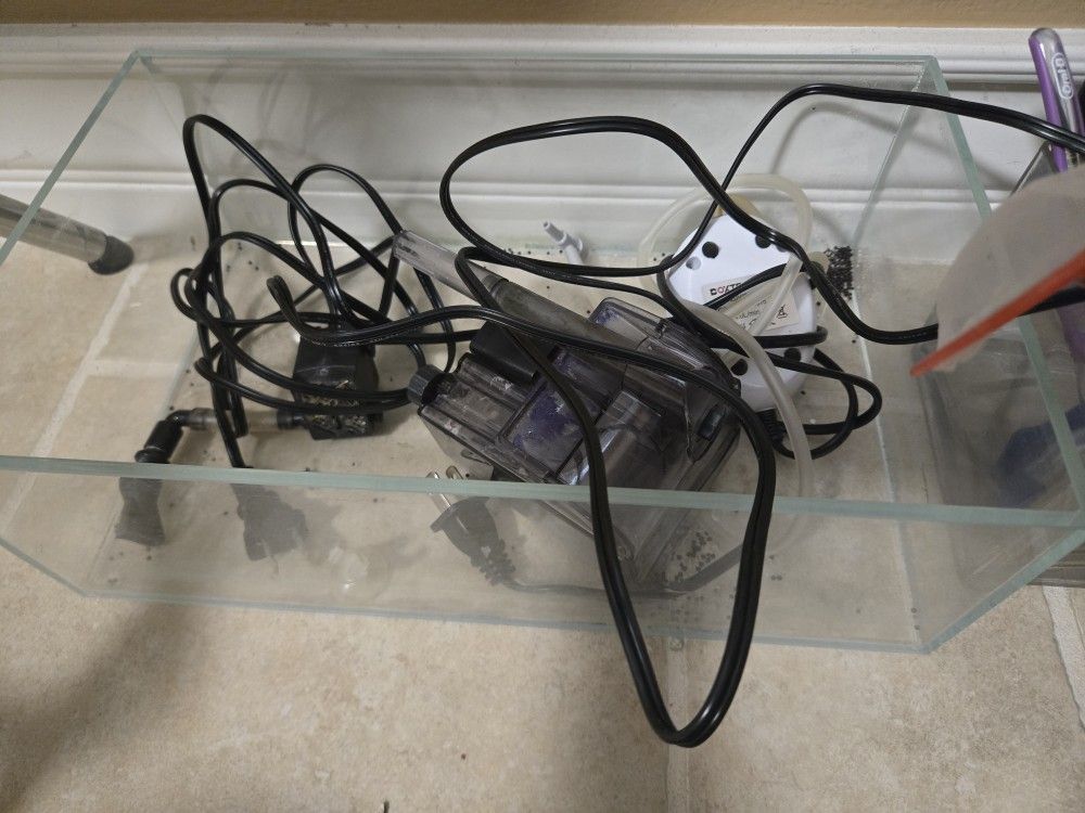 small shrimp tank and filter