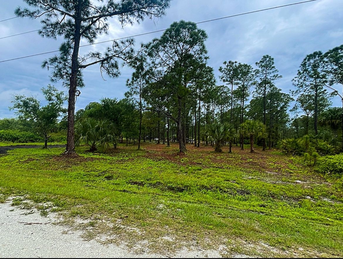 1.25 Acres For Sale 