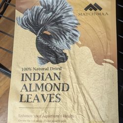 Indian Almond Leaves for Betta Fish Tropical Fish Aquarium Tannins