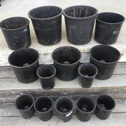 Lot of 14 Conical insert Root System Black Nursery Landscaping Pots