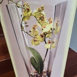 Brand New In Box Vase
