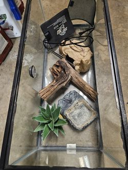 Reptile Pet Supplies 