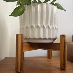 Acacia Wood Plant Stand / Base