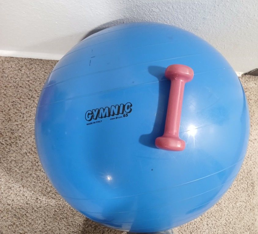 Exercise Ball- Blue
& A 5lb Dumbbell-Pink