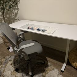 64x 27 Inch Large Standing Electric Desk-Adjustable Heights