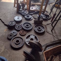 Weight Plates Mix Match 1 Inch 50 Cent A Pound 