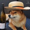 doge