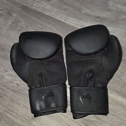 Boxing/MMA gloves and mits