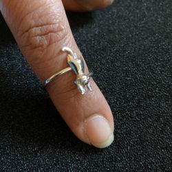 Anillo De Plata