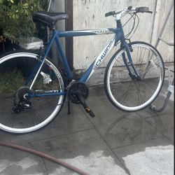 Bike Schwinn