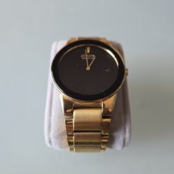 Citizen Eco-Drive $100