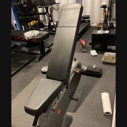 Precor Discovery Series Commercial Adjustable Bench - Retails For $1,250!