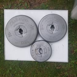 Assorted Free Weights