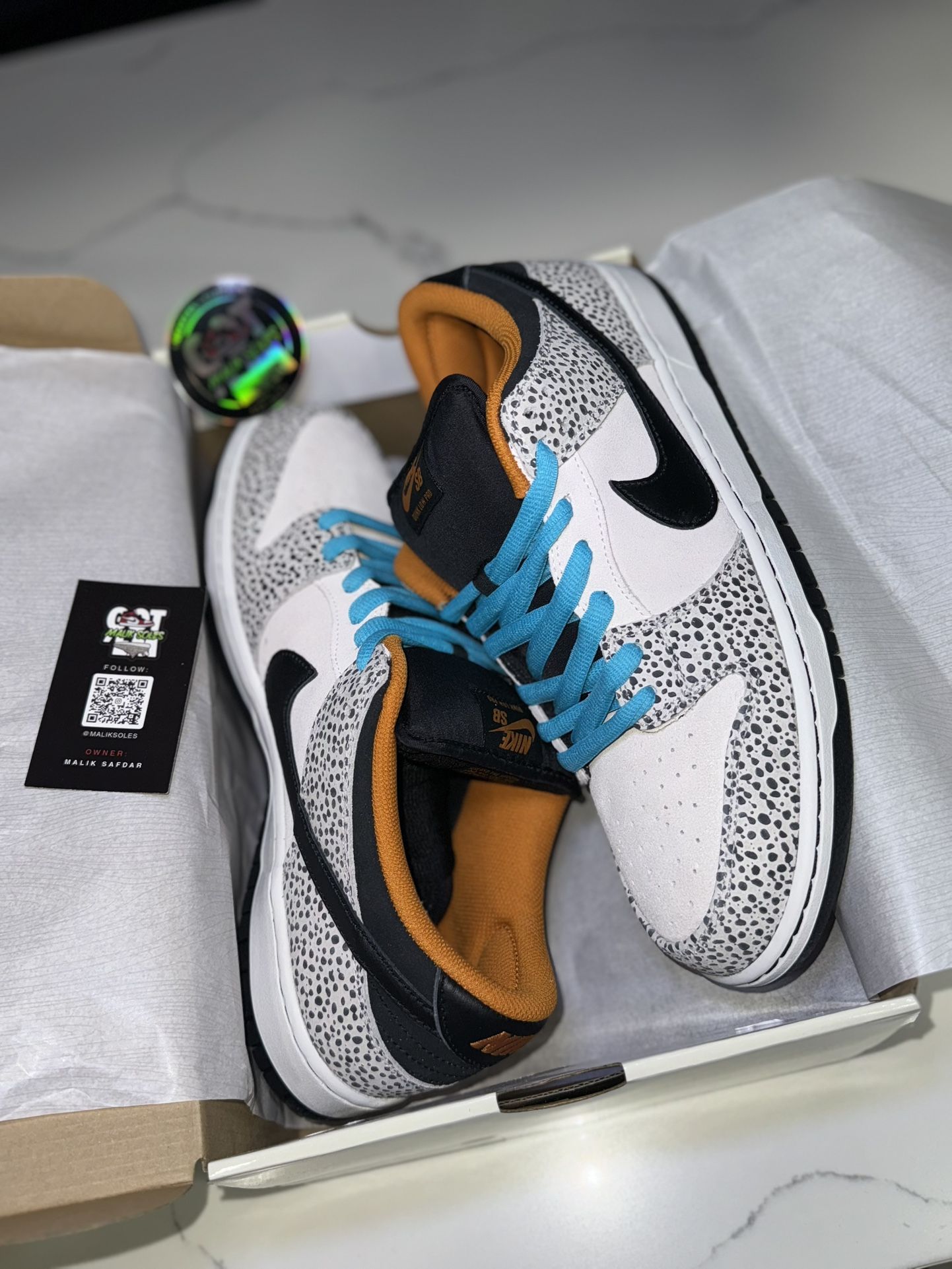 Nike Dunk Pro SB Low Electric Pack