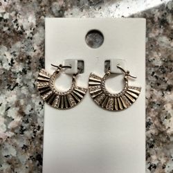 Express Earrings 