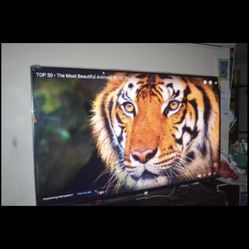 75 Inch Hisence Roku Smart Tv