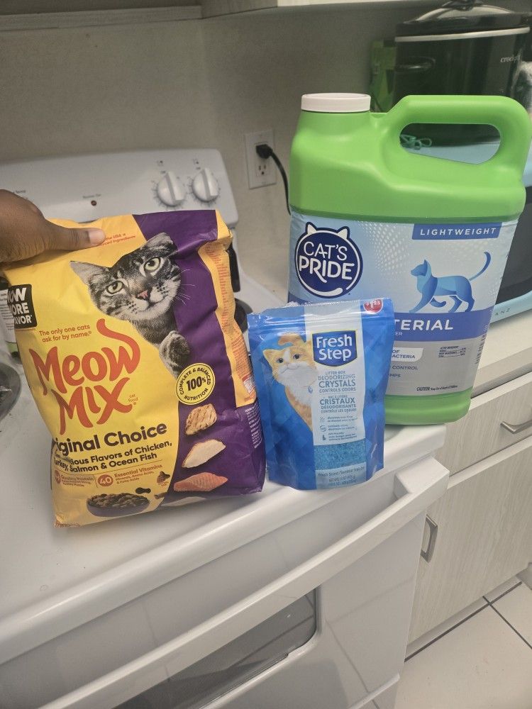 Cat Stuff