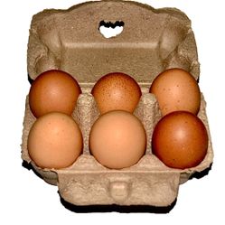 Local Daily Fresh Organic Free Range Eggs (6) 