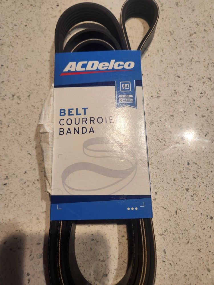 Serpentine Belt