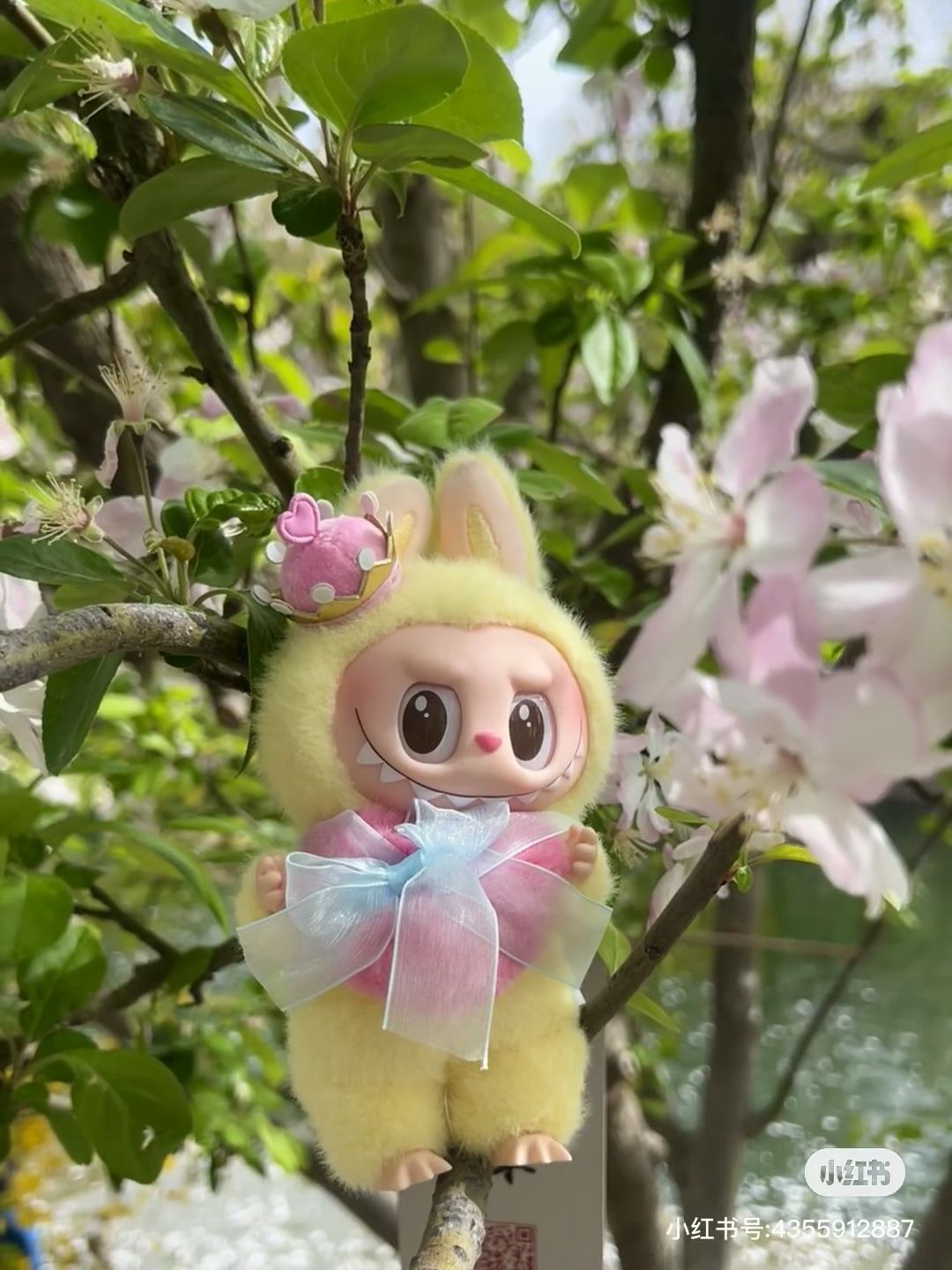 Popular Dolls