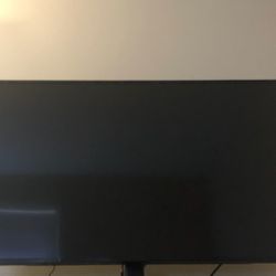 40 Inch Tv/Monitor