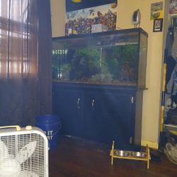 I Have A 60 Gallon Fish Tank For Sale Need Gone ASAP Asking 400
