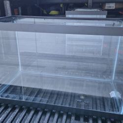 10 Gallon Fish Tank