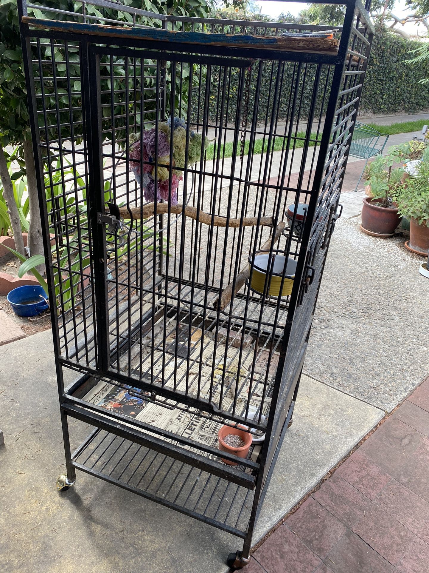 “Cal”Bird Cage