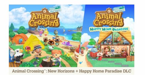 Nintendo Switch Bundle Animal Crossing New Horizons Plus Happy Home Paradise DLC Bundle Digital Video Game Code