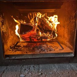 Firewood Camping Soon? Backyard Pit? 