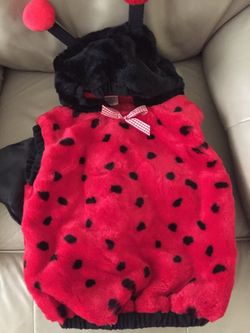 Ladybug Halloween costume