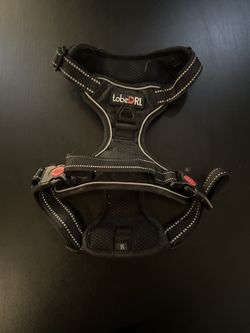 Dog harness tobe RI